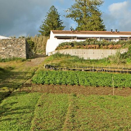 Qva - Quinta Velha Das Amoreiras Vila Franca do Campo Exteriér fotografie