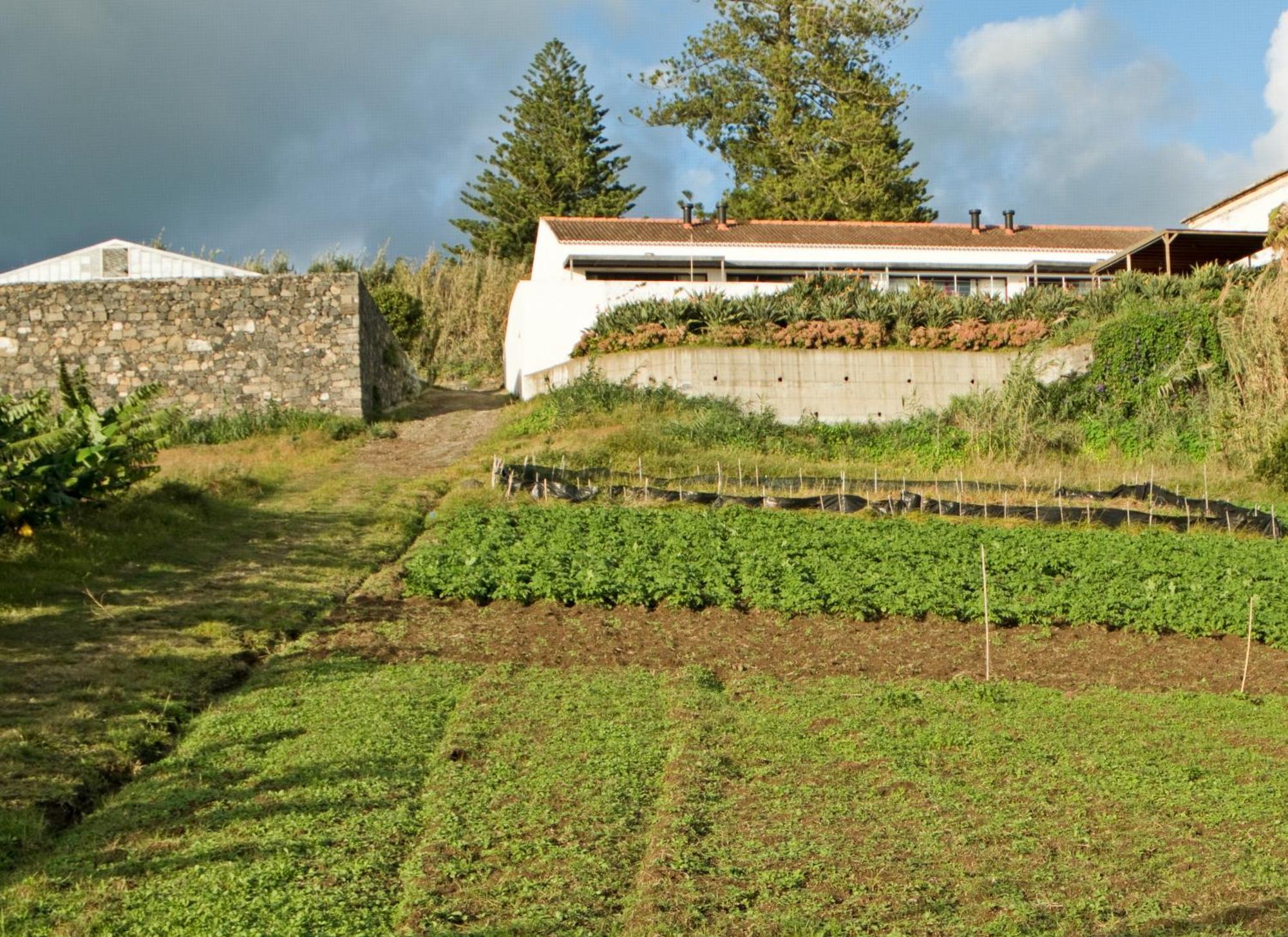 Qva - Quinta Velha Das Amoreiras Vila Franca do Campo Exteriér fotografie